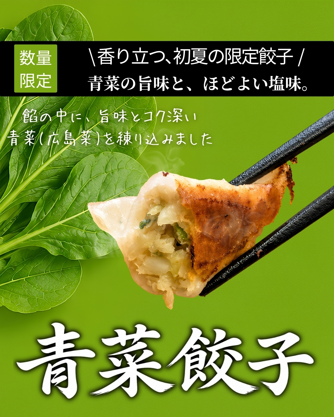 浜松弐輪舎餃子の青菜餃子